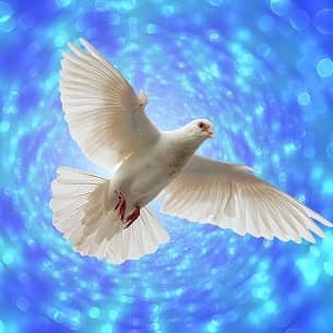 Die Taube gilt als Symbol für den Heiligen Geist.